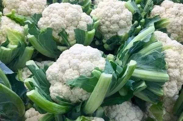 5月提醒大家：3種蔬菜渾身“堆滿”寄生蟲 寧愿不吃，也不去碰