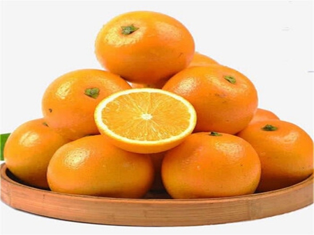 冰糖柑