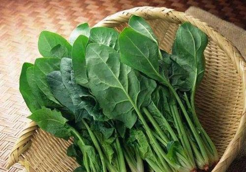 重慶生鮮配送公司教您如何保存蔬菜？